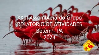 XXIII Assembleia do Grupo
RELATÓRIO DE ATIVIDADES
Belém – PA
2024
 