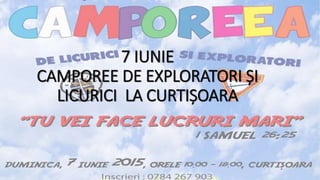 7 IUNIE
CAMPOREE DE EXPLORATORI ȘI
LICURICI LA CURTIȘOARA
 