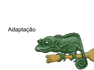 Adaptação