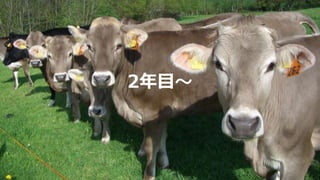 2Ŀ
 