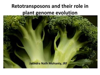 Retotransposons and their role in
plant genome evolution
Jatindra Nath Mohanty, JRF
 