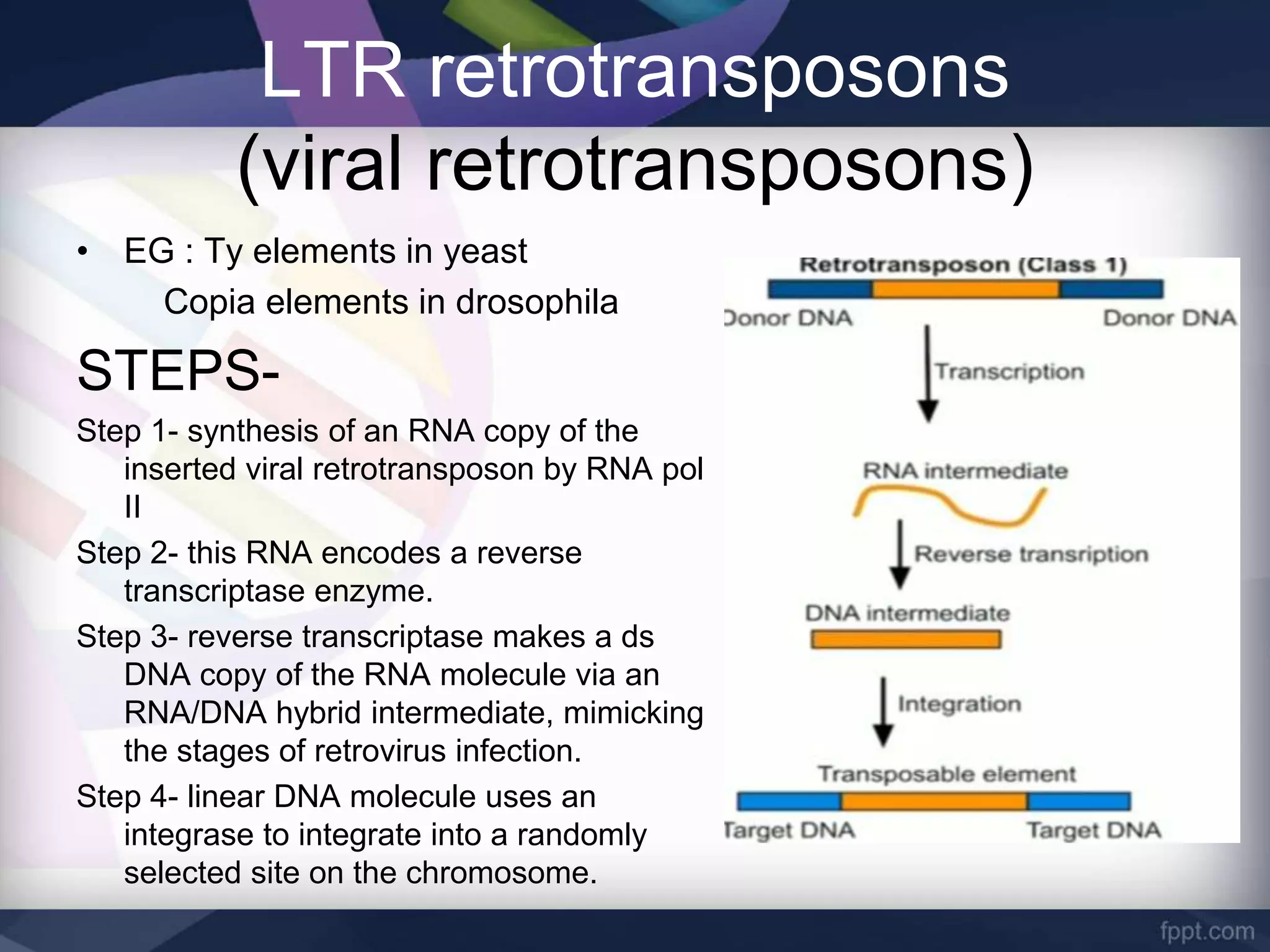 Retrotransposons | PPT
