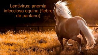 Lentivirus: anemia
infecciosa equina (fiebre
de pantano)
 