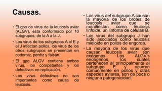 Causas.
 El gpo de virus de la leucosis aviar
(ALGV), esta conformado por 10
subgrupos, de la A a la J.
 Los virus de los subgrupos A al E y
el J infectan pollos, los virus de los
otros subgrupos se presentan en
codorniz, perdiz y faisán.
 El gpo ALGV contiene ambos
virus, los competentes y los
defectivos en replicación.
 Los virus defectivos no son
importantes como causa de
leucosis.
 Los virus del subgrupo A causan
la mayoría de los brotes de
leucosis aviar que se
manifiestan como leucosis
linfoide, un linfoma de células B.
 Los virus del subgrupo J han
sido asociados como leucosis
mieloide en pollos de engorda.
 La mayoría de los virus que
causan leucosis aviar son
exógenos. Los ALGV’s
endógenos, los cuales
pertenecen al principalmente al
subgrupo E y ocurren
comúnmente en pollos y otras
especies aviares, son de poca o
ninguna patogenicidad.
 