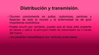 Distribución y transmisión.
 Ocurren comúnmente en pollos, codornices, perdices y
faisanes de todo el mundo y la enfermedad es de gran
importancia económica.
 Puede ocurrir por contacto, puesto que el virus esta presente
en heces y saliva, el principal medio de transmisión es a través
del huevo.
 Los parásitos hematófagos son vectores potenciales.
 