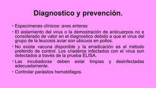 Diagnostico y prevención.
 Especímenes clínicos: aves enteras
 El aislamiento del virus o la demostración de anticuerpos no e
considerado de valor en el diagnostico debido a que el virus del
grupo de la leucosis aviar son ubicuos en pollos.
 No existe vacuna disponible y la erradicación es el método
preferido de control. Los criaderos infectados con el virus son
detectados a través de la prueba ELISA.
 Las incubadoras deben estar limpias y desinfectadas
adecuadamente.
 Controlar parásitos hematófagos.
 