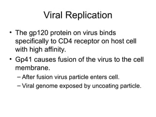 Viral Replication
• The gp120 protein on virus binds
specifically to CD4 receptor on host cell
with high affinity.
• Gp41 causes fusion of the virus to the cell
membrane.
– After fusion virus particle enters cell.
– Viral genome exposed by uncoating particle.
 