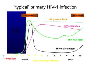 ‘typical’ primary HIV-1 infection
symptoms
HIV-1 p24 antigen
0 1 2 3 4 5 6 / 2 4 6 8 10
weeks years
HIV antibodies
Time following infection
HIV viral load
HIV proviral DNA
symptoms
‘window’
period
1° infection
 
