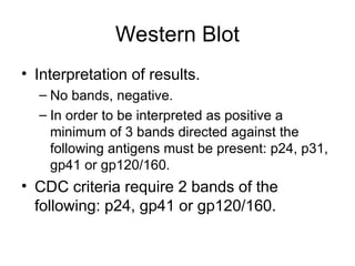 Western Blot
• Interpretation of results.
– No bands, negative.
– In order to be interpreted as positive a
minimum of 3 bands directed against the
following antigens must be present: p24, p31,
gp41 or gp120/160.
• CDC criteria require 2 bands of the
following: p24, gp41 or gp120/160.
 