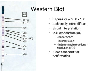 Western Blot
• Expensive – $ 80 - 100
• technically more difficult
• visual interpretation
• lack standardisation
– - performance
– - interpretation
– - indeterminate reactions –
resolution of ??
• ‘Gold Standard’ for
confirmation
 