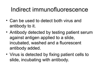 Indirect immunofluorescence
• Can be used to detect both virus and
antibody to it.
• Antibody detected by testing patient serum
against antigen applied to a slide,
incubated, washed and a fluorescent
antibody added.
• Virus is detected by fixing patient cells to
slide, incubating with antibody.
 