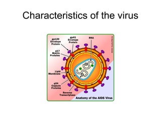 Characteristics of the virus
 