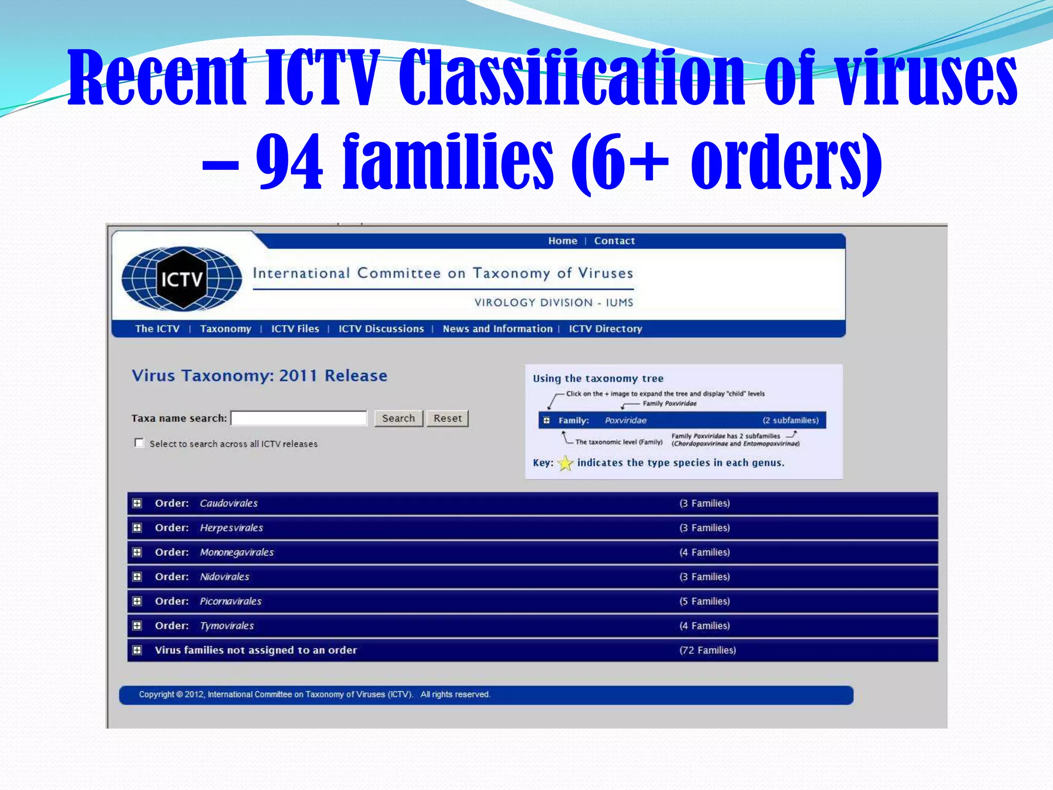 Recent ICTV Classification of viruses
    – 94 families (6+ orders)
 