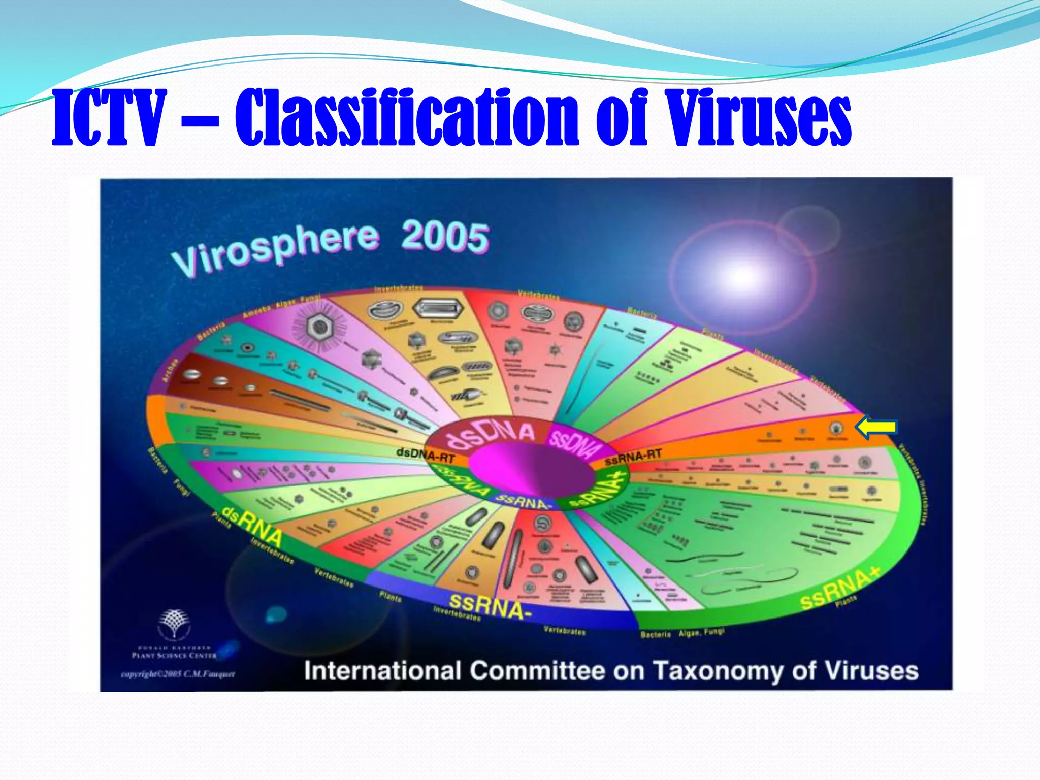 ICTV – Classification of Viruses
 