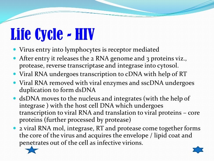 hiv retrovirus