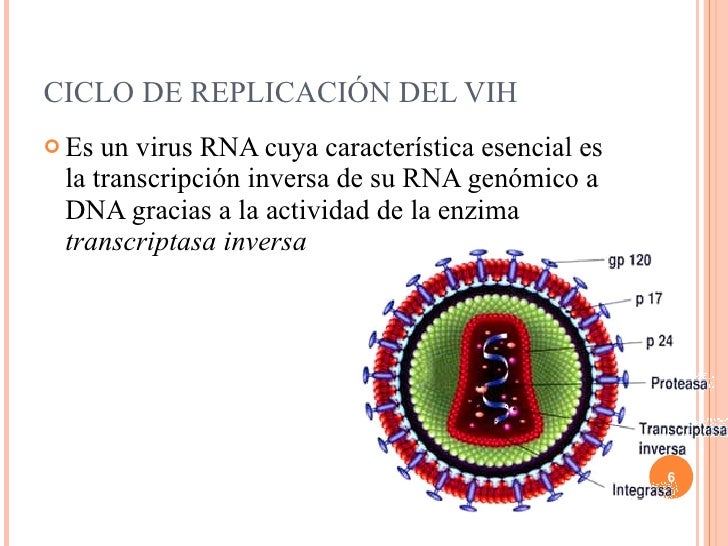 Retrovirus vih mico