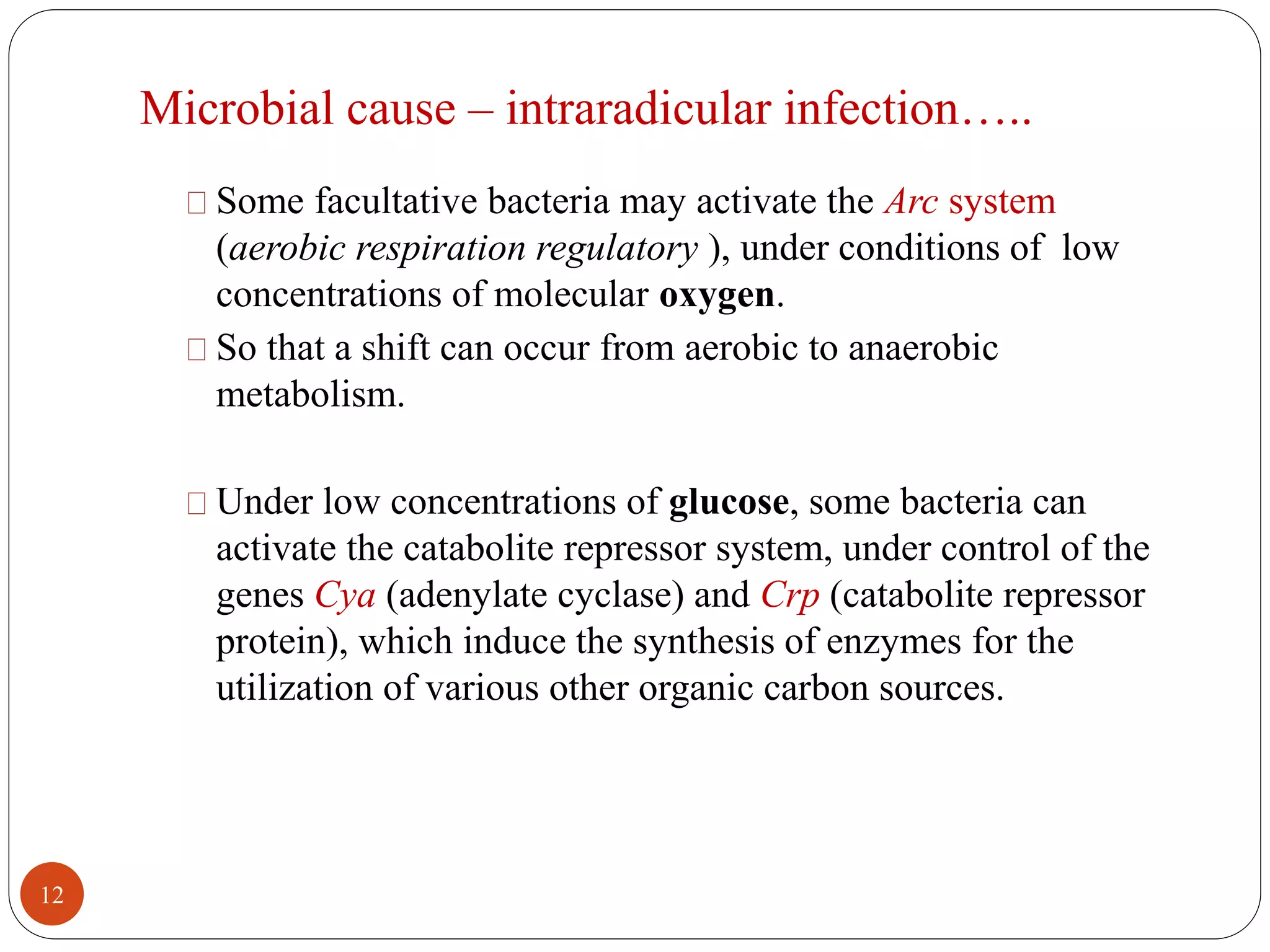 Microbial cause – intraradicular infection….. 
Some facultative bacteria may activate the Arc system 
(aerobic respiration regulatory ), under conditions of low 
concentrations of molecular oxygen. 
So that a shift can occur from aerobic to anaerobic 
metabolism. 
Under low concentrations of glucose, some bacteria can 
activate the catabolite repressor system, under control of the 
genes Cya (adenylate cyclase) and Crp (catabolite repressor 
protein), which induce the synthesis of enzymes for the 
utilization of various other organic carbon sources. 
12 
 