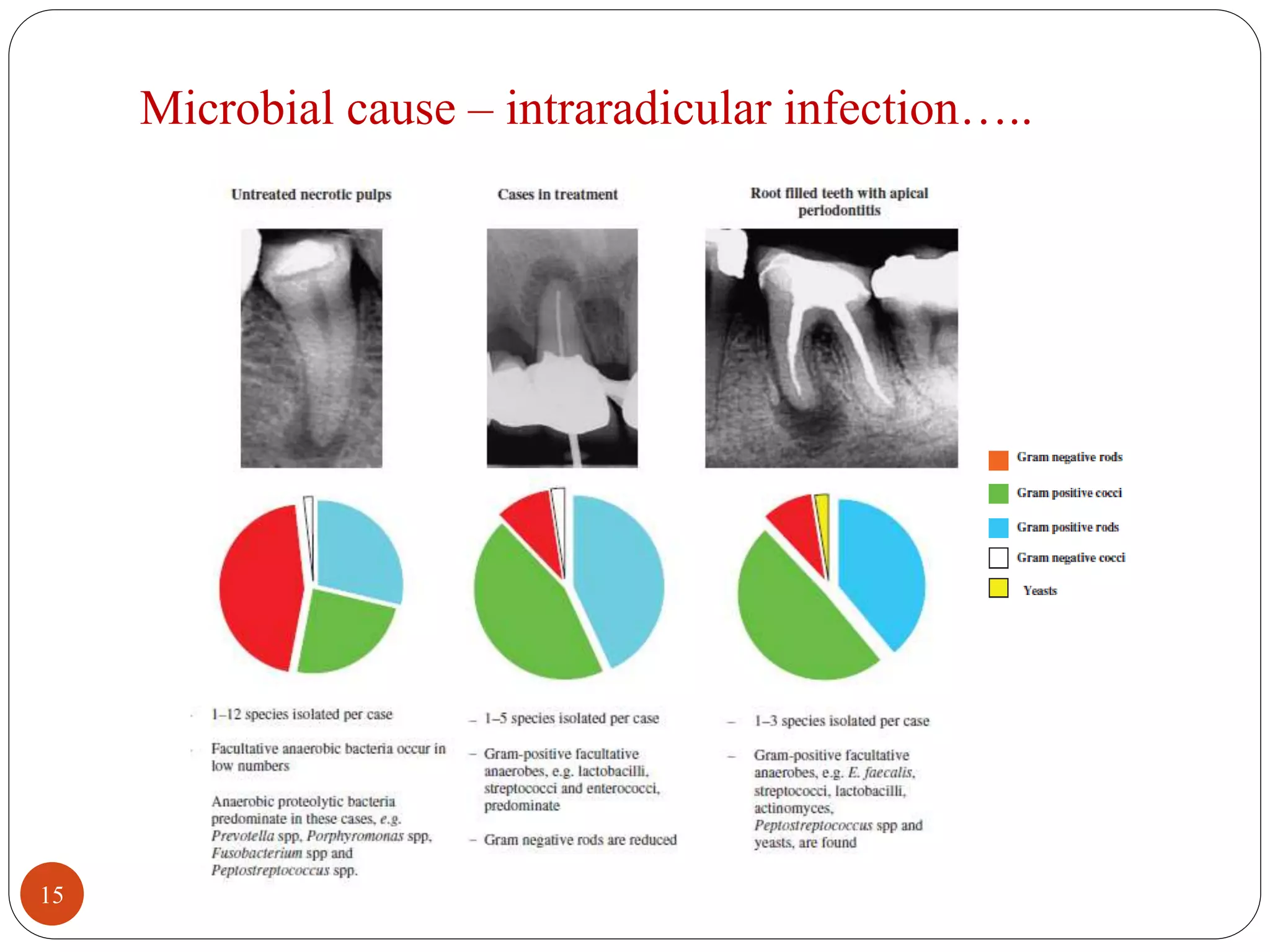 Microbial cause – intraradicular infection….. 
15 
 