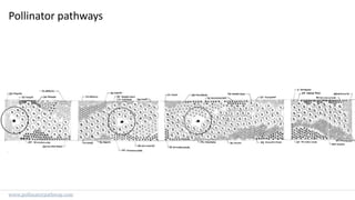Pollinator pathways
www.pollinatorpathway.com
 