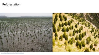 Reforestation
en.wikipedia.org/wiki/Reforestation
 