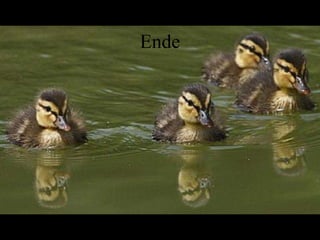 Ende 
