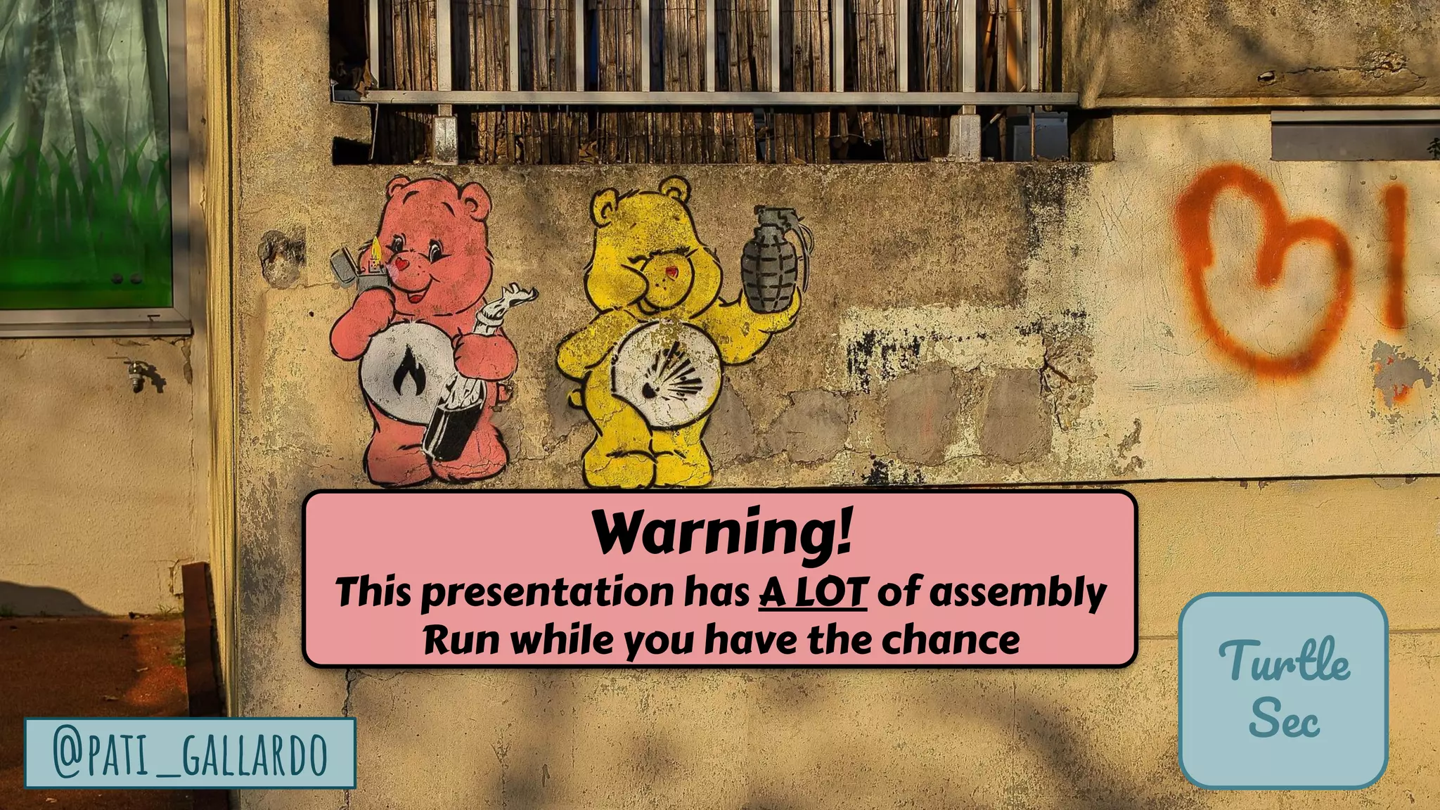 1
Turtle
Sec
@pati_gallardo
Warning!
This presentation has A LOT of assembly
Run while you have the chance
 