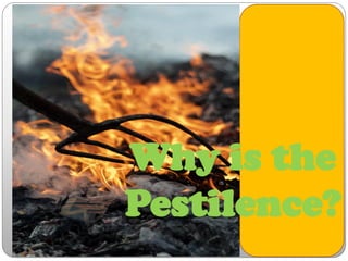 Why is the
Pestilence?
 