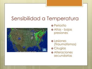 Sensibilidad a Temperatura
                Periostio
                Altas - bajas
                 presiones

         ...