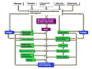 Stress Trauma Predisposición
genética
Infección Inflamación
Disfunción inmunoneuroendócrina
heterogénea
Mecanismo Central
de dolor aberrante
Dolor
Fatiga Fatiga
(FIBROMIALGIA)
dolor amplificado
Depresión
Ansiedad
Stress Mental
Disfunción
Autonómica
Hipoxia Muscular?
Estímulos
ambientales
Otros
Sueño Pobre
Desacondiciona-
miento Físico
Trauma
Stress Espinal
Postura Pobre
 