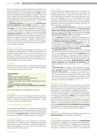 Manual A Mir

www.academiamir.com

de la que se diferencia fundamentalmente por la afectación respiratoria que domina el cuadro. Aparece en personas con antecedentes atópicos, historia de alergia estacional, rinitis, sinusitis
recidivante o poliposis nasal y precede, en ocasiones hasta en 30
años, a la aparición de las manifestaciones sistémicas. Puede encontrarse afectación crónica de los senos paranasales (a diferencia de la PAN y al igual que puede producirse en la enfermedad
de Wegener) (MIR 04, 12; MIR 99F, 95; MIR 97, 227).
La afectación pulmonar se caracteriza por infiltrados pulmonares migratorios, no cavitados y bilaterales. La afectación renal es menos frecuente y menos grave que en la PAN.
El corazón es uno de los órganos afectados con mayor frecuencia. La afectación cardíaca es responsable de más del 50% de las
muertes en estos pacientes. La lesión característica es una miocardiopatía restrictiva con obliteración de las cavidades por
sustitución del tejido miocárdico normal por infiltración granulomatosa eosinófila y fibrosis, que determina la aparición de insuficiencia cardíaca progresiva y rebelde al tratamiento. El
infarto de miocardio por vasculitis coronaria es una complicación frecuente y la afectación del pericardio puede conducir a
una pericarditis constrictiva.

Pruebas de laboratorio
El hallazgo más típico de la enfermedad es la existencia de una
importante eosinofilia periférica (>1000 eos/ml) durante la fase
aguda de la enfermedad, que es un buen marcador de la respuesta al tratamiento (MIR). El aumento de los reactantes de
fase aguda es constante durante las fases de actividad de la enfermedad; podemos encontrar elevados los niveles de IgE; presentan p-ANCA + en 65% de los casos.

Diagnóstico
Sospecha clínica y de laboratorio, y confirmación mediante biopsia cutánea, de pulmón, nervio o cualquier órgano potencialmente afectado y sugerido por la clínica.
Criterios diagnósticos:
- Asma
- Eosinofilia >10% del recuento leucocitario
- Mononeuropatías, mononeuritis múltiple o polineuropatía
- Infiltrados pulmonares fugaces no cavitados.
- Historia de sinusitis aguda o crónica o veladura radiológica de los senos paranasales
- Presencia de infiltración eosinófila extravascular
La presencia de 4 criterios o más da una sensibilidad del 85% y especificidad
del 99,7%

Tabla 4. Criterios diagnósticos de la enfermedad de Churg-Strauss.

Tratamiento
El tratamiento es similar al de la PAN, generalmente con buena
respuesta a corticoides. La enfermedad se comporta de forma
similar a la PAN, con afectación sistémica (piel, SNC,...) y tiene
un mejor pronóstico que la PAN clásica.

3.4.- Granulomatosis de Wegener
La granulomatosis de Wegener es una vasculitis granulomatosa
necrosante que afecta a las vías respiratorias superiores e inferiores, glomérulos renales y en grado variable a otros órganos
por vasculitis de pequeños vasos. La etiología es desconocida,
se acepta que el sistema inmune participa en su patogenia.

Cuadro clínico
La granulomatosis de Wegener puede ocurrir en personas de
cualquier edad, pero es más frecuente hacia los 40 años. Las
manifestaciones clínicas iniciales de la enfermedad suelen ser
las correspondientes a la afección de las vías respiratorias superiores, que se pueden asociar a un cuadro general de astenia,
anorexia y pérdida de peso. Desde el inicio o bien a lo largo de
la evolución, suelen aparecer alteraciones en otras localizaciones
anatómicas, entre las que destacan las renales, articulares, cutáneas, oculares y neurológicas.
- Las vías respiratorias superiores se afectan en más del
90% de los pacientes, con desarrollo de sinusitis crónica
(forma más frecuente de presentación), rinitis, otitis media,
estenosis traqueal, se han descrito ulceraciones nasales, perforaciones del tabique nasal y deformidades de la nariz en
silla de montar (granuloma de la línea media).
- En los pulmones se observan alteraciones radiológicas en la
mayoría de los pacientes (más del 85% de los casos) en forma
de infiltrados pulmonares múltiples y/o nódulos con elevada tendencia a la cavitación, no migratorios (MIR). Sus
manifestaciones clínicas suelen ser tos, disnea, dolor torácico
y hemoptisis que puede llegar a ser masiva. Es la vasculitis
que más frecuentemente afecta al pulmón.
- La afectación renal no es precoz, pero ocurre en más del
80% de los pacientes durante los primeros 2 años de evolución. Las manifestaciones iniciales incluyen proteinuria y alteraciones en el sedimento, con hematuria y cilindros hemáticos.
Es posible observar distintos grados de afectación glomerular,
que pueden evolucionar hacia una glomerulonefritis necrotizante proliferativa extracapilar (glomerulonefritis rápidamente progresiva con formación de semilunas), con
deterioro rápido de la función renal (MIR 05, 86). La HTA es
rara.
- Clínica general, con artralgias, artritis, fiebre, astenia, afectación cutánea (40%), afectación ocular (posibilidad de proptosis del globo ocular). En el 20% de los pacientes, se
producen manifestaciones neurológicas que incluyen, en el
SNC, la lesión de pares craneales y de la hipófisis y, en el SNP,
la aparición de mononeuritis múltiple o una polineuritis simétrica. Las manifestaciones cardíacas son la pericarditis, miocardiopatía o vasculitis coronaria (8%) (MIR 98, 232).

Pruebas de laboratorio
Suele existir anemia normocítica y normocrómica, leucocitosis
neutrofílica sin eosinofilia y trombocitosis con elevación de la
VSG. Se puede observar hipergammaglobulinemia (IgA) y positividad del factor reumatoide con negatividad de los ANA.
Se pueden encontrar p-ANCA en vasculitis diferentes al Wegener, varias glomerulonefritis o en el síndrome de Goodpasture;
sin embargo, la presencia de c-ANCA es muy específica (95%)
y sensible (88%) en el Wegener (MIR 08, 78; MIR 05, 86). En
más del 95% de los pacientes con enfermedad activa generalizada y en el 70% de los que la presentan limitada, se detectan
c-ANCA, con especificidad para la proteinasa-3. Los títulos de cANCA se correlacionan con la actividad de la enfermedad,
(aunque debemos tener presente que pueden aparecer en otras
situaciones, como la PAN, y la policondritis recidivante…).

Diagnóstico
Sospecha clínica y de laboratorio (c-ANCA), y confirmación por
biopsia pulmonar (es la de mayor rentabilidad).

Anatomía patológica

Tratamiento

Las lesiones histológicas de las vías respiratorias y del parénquima pulmonar se caracterizan por la presencia de granulomas
necrosantes intra y extravasculares, con abundantes células gigantes multinucleadas y por una vasculitis necrosante que
afecta a pequeñas arterias y venas.

En la actualidad el tratamiento de elección es la ciclofosfamida
(inicialmente, 2 mg/Kg/día). En el comienzo del tratamiento es
importante añadir prednisona (1 mg/Kg/día durante el primer
mes, que se irá disminuyendo paulatinamente). La ciclofosfamida debe mantenerse el menos durante 1 año después de

20 ] VASCULITIS [

 