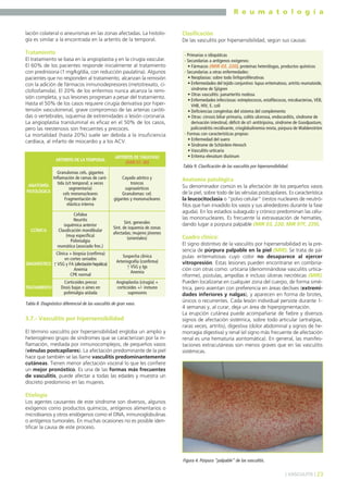 R e u m a t o l o g í a
lación colateral o aneurismas en las zonas afectadas. La histología es similar a la encontrada en la arteritis de la temporal.

Tratamiento
El tratamiento se basa en la angioplastia y en la cirugía vascular.
El 60% de los pacientes responde inicialmente al tratamiento
con prednisona (1 mg/kg/día, con reducción paulatina). Algunos
pacientes que no responden al tratamiento, alcanzan la remisión
con la adición de fármacos inmunodepresores (metotrexato, ciclofosfamida). El 20% de los enfermos nunca alcanza la remisión completa, y sus lesiones progresan a pesar del tratamiento.
Hasta el 50% de los casos requiere cirugía derivativa por hipertensión vasculorrenal, grave compromiso de las arterias carótidas o vertebrales, isquemia de extremidades o lesión coronaria.
La angioplastia transluminal es eficaz en el 50% de los casos,
pero las reestenosis son frecuentes y precoces.
La mortalidad (hasta 20%) suele ser debida a la insuficiencia
cardíaca, al infarto de miocardio y a los ACV.

ARTERITIS DE LA TEMPORAL
Granulomas cels. gigantes
Inflamación de ramas de carótida (s/t temporal; a veces
ANATOMÍA
segmentaria)
PATOLÓGICA
cels mononucleares
Fragmentación de
elástica interna

CLÍNICA

Cefalea
Neuritis
isquémica anterior
Claudicación mandibular
(muy específica)
Polimialgia
reumática (asociado frec.)

Clínica + biopsia (confirma)
en cortes seriados
DIAGNÓSTICO ↑ VSG y FA (afectación hepática)
Anemia
CPK normal
TRATAMIENTO

Corticoides precoz
Dosis bajas o aines en
polimialgia aislada

ARTERITIS DE TAKAYASU
(MIR 07, 80)
Cayado aórtico y
troncos
supraaórticos
Granulomas: cel.
gigantes y mononucleares

Sínt. generales
Sínt. de isquemia de zonas
afectadas; mujeres jóvenes
(orientales)

Sospecha clínica
Arteriografía (confirma)
↑ VSG y Igs
Anemia
Angioplastia (cirugía) +
corticoides +/- inmuno
supresores

Tabla 8. Diagnóstico diferencial de las vasculitis de gran vaso.

3.7.- Vasculitis por hipersensibilidad
El término vasculitis por hipersensibilidad engloba un amplio y
heterogéneo grupo de síndromes que se caracterizan por la inflamación, mediada por inmunocomplejos, de pequeños vasos
(vénulas postcapilares). La afectación predominante de la piel
hace que también se las llame vasculitis predominantemente
cutáneas. Tienen menor afectación visceral lo que les confiere
un mejor pronóstico. Es una de las formas más frecuentes
de vasculitis, puede afectar a todas las edades y muestra un
discreto predominio en las mujeres.

Clasificación
De las vasculitis por hipersensibilidad, según sus causas:
- Primarias o idiopáticas
- Secundarias a antígenos exógenos:
• Fármacos (MIR 03, 220), proteínas heterólogas, productos químicos
- Secundarias a otras enfermedades:
• Neoplasias: sobre todo linfoproliferativas
• Enfermedades del tejido conjuntivo: lupus eritematoso, artritis reumatoide,
síndrome de Sjögren
• Otras vasculitis: panarteritis nodosa
• Enfermedades infecciosas: estreptococos, estafilococos, micobacterias, VEB,
VHB, HIV, E. coli
• Deficiencias congénitas del sistema del complemento
• Otras: cirrosis biliar primaria, colitis ulcerosa, endocarditis, síndrome de
derivación intestinal, déficit de α1-antitripsina, síndrome de Goodpasture,
policondritis recidivante, crioglobulinemia mixta, púrpura de Waldenström
- Formas con características propias:
• Enfermedad del suero
• Síndrome de Schönlein-Henoch
• Vasculitis-urticaria
• Eritema elevatum diutinum

Tabla 9. Clasificación de las vasculitis por hipersensibilidad.

Anatomía patológica
Su denominador común es la afectación de los pequeños vasos
de la piel, sobre todo de las vénulas postcapilares. Es característica
la leucocitoclasia o “polvo celular” (restos nucleares de neutrófilos que han invadido los vasos y sus alrededores durante la fase
aguda). En los estadios subagudo y crónico predominan las células mononucleares. Es frecuente la extravasación de hematíes,
dando lugar a púrpura palpable (MIR 03, 220; MIR 97F, 239).

Cuadro clínico:
El signo distintivo de la vasculitis por hipersensibilidad es la presencia de púrpura palpable en la piel (MIR). Se trata de pápulas eritematosas cuyo color no desaparece al ejercer
vitropresión. Estas lesiones pueden encontrarse en combinación con otras como: urticaria (denominándose vasculitis urticariforme), pústulas, ampollas e incluso úlceras necróticas (MIR).
Pueden localizarse en cualquier zona del cuerpo, de forma simétrica, pero asientan con preferencia en áreas declives (extremidades inferiores y nalgas), y aparecen en forma de brotes,
únicos o recurrentes. Cada lesión individual persiste durante 14 semanas y, al curar, deja un área de hiperpigmentación.
La erupción cutánea puede acompañarse de fiebre y diversos
signos de afectación sistémica, sobre todo articular (artralgias,
raras veces, artritis), digestiva (dolor abdominal y signos de hemorragia digestiva) y renal (el signo más frecuente de afectación
renal es una hematuria asintomática). En general, las manifestaciones extracutáneas son menos graves que en las vasculitis
sistémicas.

Etiología
Los agentes causantes de este síndrome son diversos, algunos
exógenos como productos químicos, antígenos alimentarios o
microbianos y otros endógenos como el DNA, inmunoglobulinas
o antígenos tumorales. En muchas ocasiones no es posible identificar la causa de este proceso.

Figura 4. Púrpura “palpable” de las vasculitis.
] VASCULITIS [ 23

 