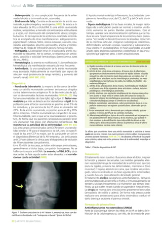 Manual A Mir

www.academiamir.com

- Osteoporosis. Es una complicación frecuente de la enfermedad debida a la inmovilización, esteroides...
- Síndrome de Felty. Consiste en la asociación de artritis reumatoide, esplenomegalia y neutropenia (MIR). Se asocia a títulos elevados de FR y a HLA-DR4. Es una artritis reumatoide
nodular, seropositiva, a menudo con anticuerpos antinucleares
y, a veces, con disminución del complemento sérico y crioglobulinemia. En la mayoría de los enfermos esta tríada sintomática se acompaña de otras manifestaciones: adelgazamiento,
pigmentación cutánea, fiebre, úlceras cutáneas, vasculitis, neuropatía, adenopatías, pleuritis y pericarditis, anemia y trombocitopenia. El riesgo de infecciones graves es muy elevado.
- Nefropatía. La afectación renal en el curso de la artritis reumatoide es frecuente. Por lo común, se relaciona con amiloidosis, vasculitis o toxicidad farmacológica (penicilamina, sales
de oro, AINEs).
- Hematológica. La anemia es multifactorial. Es la manifestación
hematológica y la manifestación extraarticular más frecuente.
- Amiloidosis. Es una complicación de la artritis reumatoide
muy avanzada. Habitualmente se manifiesta con signos de
afección renal (proteinuria de rango nefrótico y aumento del
tamaño renal) (MIR 98F, 203).

Diagnóstico
- Pruebas de laboratorio. La mayoría de los sueros de enfermos con artritis reumatoide contienen anticuerpos dirigidos
contra determinantes antigénicos Fc de las moléculas de IgG;
son los denominados factores reumatoides (MIR 04, 25). Hay
factores reumatoides de clase IgM, IgG e IgA. El factor reumatoide que más se detecta en los laboratorios es IgM. En la
población sana el factor reumatoide es positivo en el 5% de
los individuos, y por encima de los 65 años en alrededor del
20%. En la artritis reumatoide, es positivo entre el 60 y 70%
de los enfermos. El factor reumatoide no es específico de la artritis reumatoide, pero sí que se ha relacionado con el pronóstico, de forma que los pacientes seropositivos parecen tener
una afectación más grave, con afectación extraarticular. No
monitoriza la actividad de la enfermedad (MIR 99, 84).
Los anticuerpos anticitrulinados (antiCCP) tienen una sensibilidad similar al FR para el diagnóstico de AR, pero la especificidad de los anti-CCP es mayor, por lo que puede ser útil en
el diagnóstico diferencial de la AR temprana. Los anticuerpos
antiCCP son útiles en la clínica para el diagnóstico de exclusión
de AR en pacientes con poliartritis.
En el 15-40% de los casos, se hallan anticuerpos antinucleares,
generalmente a títulos bajos, con patrón homogéneo. No se
hallan anticuerpos anti-DNA. La anemia, la VSG, PCR y otros
reactantes de fase aguda suelen estar elevados y se correlacionan con la actividad (MIR).

El líquido sinovial es de tipo inflamatorio, la actividad del complemento hemolítico total, del C3, del C2 y del C4 está disminuida.
- Signos radiológicos. En las fases iniciales, la imagen radiológica de la articulación puede ser normal, o mostrar un discreto aumento de partes blandas periarticulares. Con el
tiempo, aparece una desmineralización epifisaria que se traduce en una hipertransparencia de los extremos óseos (osteopenia “en banda”o descalcificaciones localizadas), reducción
de la interlínea articular, imágenes radiológicas osteolíticas,
deformidades, actitudes viciosas, luxaciones y subluxaciones,
muy visibles en las radiografías; en fases avanzadas se puede
añadir ligera esclerosis subcondral y osteofitosis en las articulaciones que soportan peso, o bien anquilosis ósea.
CRITERIOS DE AMERICAN COLLEGE OF RHEUMATOLOGY (MIR 00F, 89)
A. Rigidez matutina articular de al menos una hora de duración antes de
su mejoría máxima.
B. Artritis de tres o más áreas articulares. Al menos tres de ellas tienen
que presentar simultáneamente hinchazón de tejidos blandos o líquido
sinovial (no sólo crecimiento óseo) observados por un médico. Las 14
posibles áreas articulares son las interfalángicas proximales, las metacarpofalángicas, las muñecas, los codos, las rodillas, los tobillos y las
metatarsofalángicas.
C. Artritis de las articulaciones de las manos, manifestada por hinchazón
en al menos una de las siguientes áreas articulares: muñeca, metacarpofalángicas o interfalángicas proximales.
D. Artritis simétrica, con afectación simultánea de las mismas áreas articulares (como se exige en b) en ambos lados del cuerpo (se acepta la
afectación bilateral de interfalángicas proximales, metacarpofalángicas
o metatarsofalángicas aunque la simetría no sea absoluta).
E. Nódulos reumatoides, subcutáneos, sobre prominencias óseas o en superficies extensoras o en regiones yuxtarticulares, observados por un
médico.
F. Factor reumatoide sérico, demostrado por cualquier método, que sea
positivo en menos del 5% de los controles normales.
G. Alteraciones radiológicas típicas de artritis reumatoide en las proyecciones posteroanteriores de las manos y de las muñecas, que pueden incluir erosiones o descalcificación ósea indiscutible localizada o más
intensa junto a las articulaciones afectas (la presencia única de alteraciones artrósicas no sirve como criterio).

Se afirma que un enfermo tiene una artritis reumatoide si satisface al menos
cuatro de los siete criterios. Los cuatro primeros criterios deben estar presentes
al menos durante 6 semanas (MIR 08, 77). No obstante, el hecho de no cumplir
estos criterios, sobre todo en las primeras fases de la enfermedad, no excluye el
diagnóstico.
Tabla 1. Criterios diagnósticos de AR.

Tratamiento
El tratamiento no es curativo. Buscamos aliviar el dolor, mejorar
la función y prevenir las secuelas. Las medidas generales alternan reposo (disminuye la intensidad de la artritis) con ejercicio
(evita la rigidez, previene las deformidades, mantiene el tono
muscular).El reposo absoluto en cama, que no debe ser prolongado, sólo está indicado en las fases agudas de la enfermedad,
y cuando hay una gran alteración del estado general.
El tratamiento médico (analgésicos-antiinflamatorios, fármacos
antirreumáticos de acción lenta o FARAL e inmunosupresores) se
tienden a utilizar precozmente y se mantienen por tiempo indefinido, ya que suelen recaer cuando se suspende el medicamento.
La cirugía se reserva para articulaciones gravemente lesionadas
(artroplastia de rodilla y cadera). De forma más precoz puede
realizarse una sinovectomía para alivio sintomático y reducir el
daño óseo que ocasiona el pannus sinovial.

Fármacos de primera línea
Figura 7. Erosiones articulares en la AR. Nótese la presencia de zonas con descalcificacines localizadas o de “osteopenia en banda” (punta de flecha).

30 ] ARTRITIS REUMATOIDE [

Antiinflamatorios no esteroideos (AINEs)
Parte de la acción que ejercen los AINEs en la AR se debe a la inhibición de la ciclooxigenasa y, con ello, de la síntesis de pros-

 