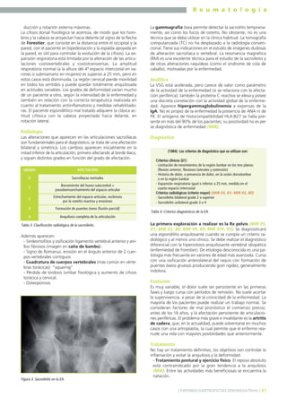 R e u m a t o l o g í a
ducción y rotación externa máximas.
La cifosis dorsal fisiológica se acentúa, de modo que los hombros y la cabeza se proyectan hacia delante (el signo de la flecha
de Forestier, que consiste en la distancia entre el occipital y la
pared, con el paciente en bipedestación y la espalda apoyada en
la pared, es útil para controlar la evolución de la cifosis). La expansión respiratoria está limitada por la alteración de las articulaciones costovertebrales y costotransversas. La amplitud
respiratoria normal (a la altura del 4º espacio intercostal en varones o submamario en mujeres) es superior a 25 mm, pero en
estos casos está disminuida. La región cervical pierde movilidad
en todos los sentidos y puede quedar totalmente anquilosada
en actitudes variables. Los grados de deformidad varían mucho
de un paciente a otro, según la intensidad de la enfermedad y
también en relación con la correcta terapéutica realizada en
cuanto al tratamiento antiinflamatorio y medidas rehabilitadoras. El paciente espondilítico mal tratado adquiere la clásica actitud cifósica con la cabeza proyectada hacia delante, en
rotación lateral.

La gammagrafía ósea permite detectar la sacroilitis tempranamente, así como los focos de osteítis. No obstante, no es una
técnica que se deba utilizar en la clínica habitual. La tomografía
computarizada (TC) no ha desplazado a la radiología convencional. Tiene sus indicaciones en el estudio de imágenes dudosas
de alteración sacroiliaca o vertebral. La resonancia magnética
(RM) es una excelente técnica para el estudio de la sacroileitis y
de otras alteraciones raquídeas (como el síndrome de cola de
caballo), motivadas por la enfermedad.

Analítica
La VSG está acelerada, pero carece de valor como parámetro
de la actividad de la enfermedad (sí se relaciona con la afectación periférica); también la proteína C reactiva se eleva y posee
una discreta correlación con la actividad global de la enfermedad. Aparece hipergammaglobulinemia a expensas de la
IgA. No es propio de la enfermedad la presencia de ANA ni de
FR. El antígeno de histocompatibilidad HLA-B27 se halla presente en más del 90% de los pacientes; su positividad no es per
se diagnóstica de enfermedad (MIR).

Radiología
Las alteraciones que aparecen en las articulaciones sacroilíacas
son fundamentales para el diagnóstico; se trata de una afectación
bilateral y simétrica. Los cambios aparecen inicialmente en la
mitad inferior de la articulación, primero afectando al borde ilíaco,
y siguen distintos grados en función del grado de afectación.
GRADO

AFECTACIÓN

0

Sacroilíacas normales

1

Borramiento del hueso subcondral =
pseudoensanchamiento del espacio articular

2

Estrechamiento del espacio articular, esclerosis
por la osteítis reactiva y erosiones

3

Formación de puentes óseos (fusión parcial)

4

Diagnóstico
(1984). Los criterios de diagnóstico que se utilizan son:
Criterios clínicos (≥1)
- Limitación de movimientos de la región lumbar en los tres planos
(flexión anterior, flexiones laterales y extensión)
- Historia de dolor, o presencia de dolor, en la unión dorsolumbar
o en la región lumbar
- Expansión respiratoria igual o inferior a 25 mm, medida en el
cuarto espacio intercostal
Criterios radiológicos (criterio mayor) (MIR 05, 81; MIR 02, 80)
- Sacroileítis bilateral grado 2 o superior
- Sacroileítis unilateral grado 3 o 4

Anquilosis completa de la articulación

Tabla 3. Clasificación radiológica de la sacroileitis.

Además aparecen:
- Sindesmofitos y osificación ligamento vertebral anterior y anillos fibrosos (imagen en caña de bambú).
- Signo de Romanus: erosión en el ángulo anterior de 2 cuerpos vertebrales contiguos
- Cuadratura de cuerpos vertebrales (más común en vértebras torácicas): “squaring”
- Pérdida de lordosis lumbar fisiológica y aumento de cifosis
torácica y cervical.
- Osteoporosis.

Tabla 4. Criterios diagnósticos de la EA.

La primera exploración a realizar es la Rx pelvis (MIR 05,
81; MIR 02, 80; MIR 99, 89; MIR 97F, 95). Se diagnosticará
una espondilitis anquilosante cuando se cumpla un criterio radiológico y al menos uno clínico. Se debe realizar el diagnóstico
diferencial con la hiperostosis anquilosante vertebral idiopática
(enfermedad de Forestier). De etiología desconocida es una patología más frecuente en varones de edad más avanzada. Cursa
con una osificación anterolateral del raquis con formación de
puentes óseos gruesos produciendo gran rigidez, generalmente
indolora.

Evolución
Es muy variable, el dolor suele ser persistente en las primeras
fases y luego cursa con períodos de remisión. No suele acortar
la supervivencia, a pesar de la cronicidad de la enfermedad. La
mayoría de los pacientes puede realizar un trabajo normal. Se
consideran factores de mal pronóstico el comienzo precoz,
antes de los 16 años, y la afectación persistente de articulaciones periféricas. El problema más grave e invalidante es la artritis
de cadera, que, en la actualidad, puede solventarse en muchos
casos con una artroplastia, la cual permite que el enfermo reanude una vida con mayores posibilidades que anteriormente.

Tratamiento

Figura 3. Sacroileitis en la EA.

No hay un tratamiento definitivo, los objetivos son controlar la
inflamación y evitar la anquilosis y la deformidad.
- Tratamiento postural y ejercicio físico. El reposo absoluto
está contraindicado por la gran tendencia a la anquilosis
(MIR). Entre las actividades más beneficiosas se encuentra la
natación.
] ESPONDILOARTROPATÍAS SERONEGATIVAS [ 41

 