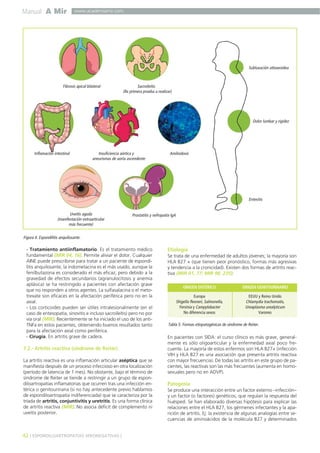 Manual A Mir

www.academiamir.com

Subluxación atloaxoidea

Fibrosis apical bilateral

Sacroileitis
(Rx primera prueba a realizar)

Dolor lumbar y rigidez

Inflamación intestinal

Insuficiencia aórtica y
aneurismas de aorta ascendente

Amiloidosis

Entesitis
Uveitis aguda
(manifestación extraarticular
más frecuente)

Prostatitis y nefropatía IgA

Figura 4. Espondilitis anquilosante.

- Tratamiento antiinflamatorio. Es el tratamiento médico
fundamental (MIR 04, 16). Permite aliviar el dolor. Cualquier
AINE puede prescribirse para tratar a un paciente de espondilitis anquilosante; la indometacina es el más usado, aunque la
fenilbutazona es considerado el más eficaz, pero debido a la
gravedad de efectos secundarios (agranulocitosis y anemia
aplásica) se ha restringido a pacientes con afectación grave
que no responden a otros agentes. La sulfasalacina o el metotrexate son eficaces en la afectación periférica pero no en la
axial.
- Los corticoides pueden ser útiles intralesionalmente (en el
caso de entesopatía, sinovitis e incluso sacroileítis) pero no por
vía oral (MIR). Recientemente se ha iniciado el uso de los antiTNFa en estos pacientes, obteniendo buenos resultados tanto
para la afectación axial como periférica.
- Cirugía. En artritis grave de cadera.

7.2.- Artritis reactiva (síndrome de Reiter)
La artritis reactiva es una inflamación articular aséptica que se
manifiesta después de un proceso infeccioso en otra localización
(período de latencia de 1 mes). No obstante, bajo el término de
síndrome de Reiter se tiende a restringir a un grupo de espondiloartropatías inflamatorias que ocurren tras una infección entérica o genitourinaria (si no hay antecedente previo hablamos
de espondiloartropatía indiferenciada) que se caracteriza por la
tríada de artritis, conjuntivitis y uretritis. Es una forma clínica
de artritis reactiva (MIR). No asocia déficit de complemento ni
uveítis posterior.

42 ] ESPONDILOARTROPATÍAS SERONEGATIVAS [

Etiología
Se trata de una enfermedad de adultos jóvenes; la mayoría son
HLA B27 + (que tienen peor pronóstico, formas más agresivas
y tendencia a la cronicidad). Existen dos formas de artritis reactiva (MIR 01, 77; MIR 98, 235):
ORIGEN ENTÉRICO

ORIGEN GENITOURINARIO

Europa
Shigella flexneri, Salmonella,
Yersinia y Campylobacter
No diferencia sexos

EEUU y Reino Unido
Chlamydia trachomatis,
Ureaplasma urealyticum
Varones

Tabla 5. Formas etiopatogénicas de síndrome de Reiter.

En pacientes con SIDA: el curso clínico es más grave, generalmente es sólo oligoarticular y la enfermedad axial poco frecuente. La mayoría de estos enfermos son HLA B27+ (infección
VIH y HLA B27 es una asociación que presenta artritis reactiva
con mayor frecuencia). De todas las artritis en este grupo de pacientes, las reactivas son las más frecuentes (aumenta en homosexuales pero no en ADVP).

Patogenia
Se produce una interacción entre un factor externo –infección–
y un factor (o factores) genéticos, que regulan la respuesta del
huésped. Se han elaborado diversas hipótesis para explicar las
relaciones entre el HLA B27, los gérmenes infectantes y la aparición de artritis. Ej: la existencia de algunas analogías entre secuencias de aminoácidos de la molécula B27 y determinados

 