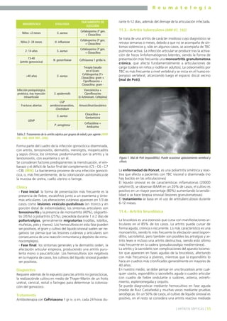 R e u m a t o l o g í a

DIAGNÓSTICO

ETIOLOGÍA

TRATAMIENTO DE
ELECCIÓN

Niños <2 meses

S. aureus

Cefalosporina 3ª gen.
+ Cloxacilina

Niños 2- 24 meses

H. influenzae

Cefalosporina 3ª gen.
+ Cloxacilina

2- 14 años

S. aureus

Cefalosporina 3ª gen.
+ Cloxacilina

15-40
(artritis gonococica)

N. gonorrhoeae

Ceftriaxona 1 gr/día iv.

>40 años

S. aureus

Terapia basada
en el Gram:
Cefalosporina 3ª+
Cloxacilina: gram +
Ciprofloxacino +
Cloxacilina: gram -

Infección postquirúrgica,
protésica, tras inyección
intraarticular

S. epidermidis

Vancomicina +
Ciprofloxacino
(o Aztreonam, Cefepima)

Fracturas abiertas

CGP
aerobios/anaerobios,
Clostridium

Amoxicilina/clavulánico

S. aureus

Cloxacilina +
Gentamicina

P. aeruginosa

rante 6-12 días, además del drenaje de la articulación infectada.

Ceftazidima +
Amikazina

UDVP

11.3.- Artritis tuberculosa (MIR 07, 192)
Se trata de una artritis de carácter insidioso cuyo diagnóstico se
retrasa semanas o meses, debido a que no se acompaña de síntomas sistémicos y, sólo en algunos casos, se acompaña de TBC
pulmonar activa. La infección articular se produce tras la activación de focos linfohematógenos latentes, siendo la forma de
presentación más frecuente una monoartritis granulomatosa
crónica, que afecta fundamentalmente a articulaciones de
carga (cadera en niños y rodilla en adultos). La osteomielitis por
TBC es más frecuente a nivel vertebral y se inicia en el hueso esponjoso vertebral, alcanzando luego el espacio discal vecino
(mal de Pott).

Tabla 2. Tratamiento de la artritis séptica por grupos de edad y por agente (MIR
00, 140; MIR 98F, 206).

Forma parte del cuadro de la infección gonocócica diseminada,
con artritis, tenosinovitis, dermatitis, meningitis, miopericaditis
y sepsis clínica; los síntomas predominantes son la artritis y la
tenosinovitis, con exantema o sin él.
Se consideran factores predisponentes la menstruación, el embarazo y el déficit de factor final del complemento (C5 - C6 - C7
- C8) (MIR). La bacteriemia proviene de una infección gonocócica, o, más frecuentemente, de la colonización asintomática de
la mucosa de uretra, cuello uterino o faringe.

Clínica
- Fase inicial: la forma de presentación más frecuente es la
presencia de fiebre, escalofríos junto a un exantema y síntomas articulares. Las alteraciones cutáneas aparecen en 1/3 de
casos como lesiones vesículo-pustulosas (en tronco y en
porción distal de extremidades); los síntomas articulares son
tenosinovitis y la presencia de monoartritis (40%), oligoartritis (35%) o poliartritis (25%), precedida durante 1 ó 2 días de
poliartralgias, generalmente migratorias (rodillas, tobillos,
muñecas, pies y manos). Los hemocultivos en esta fase pueden
ser positivos, el gram y cultivo del líquido sinovial suelen ser negativos (se piensa que las lesiones cutáneas y articulares son
consecuencia de una reacción inmunitaria y depósito de inmunocomplejos).
- Fase final: los síntomas generales y la dermatitis ceden, la
afectación articular empeora, produciendo una artritis purulenta mono o pauciarticular. Los hemocultivos son negativos
en la mayoría de casos, los cultivos del líquido sinovial pueden
ser positivos.

Diagnóstico
Requiere además de lo expuesto para las artritis no gonocócicas,
la realizaciónde cultivo en medio de Thayer-Martin de un frotis
uretral, cervical, rectal o faríngeo para determinar la colonización del gonococo.

Tratamiento
Antibioterapia con Ceftriaxona 1 gr iv. o im. cada 24 horas du-

Figura 1. Mal de Pott (espondilitis). Puede ocasionar aplastamiento vertebral y
cifosis.

La enfermedad de Poncet, es una poliartritis simétrica y reactiva que afecta a pacientes con TBC visceral o diseminada (no
hay bacilos en las articulaciones)
El liquido sinovial es de características inflamatorias (20000
cels/mm3), se observan BAAR en un 20% de casos, el cultivo es
positivo en un mayor porcentaje (80%) aumentando la sensibilidad si se hace biopsia sinovial (lesiones granulomatosas).
El tratamiento se basa en el uso de antituberculosos durante
6-12 meses.

11.4.- Artritis brucelósica
La brucelosis es una zoonosis que cursa con manifestaciones articulares en el 85% de los casos. La artritis puede cursar de
forma aguda, crónica o recurrente. Lo más característico es una
monoartritis, siendo lo más frecuente la afectación axial (espondilitis, sacroileítis), pero también son posibles las artralgias y artritis leves e incluso una artritis destructiva, siendo esto último
más frecuente en la cadera (pseudocoxalgia mediterránea).
La artritis y la sacroileítis son complicaciones del aparato locomotor que aparecen en fases agudas de la brucelosis, afectando
con más frecuencia a jóvenes, mientras que la espondilitis lo
hace en cuadros más cronificados generalmente en mayores de
40 años.
En nuestro medio, se debe pensar en una brucelosis ante cualquier coxitis, espondilitis o sacroileítis aguda o cuadro articular
con cuadro de fiebre ondulante o sudores, astenia, estreñimiento, esplenomegalia y orquitis.
Se puede diagnosticar mediante hemocultivo en fase aguda
(medio de Ruiz Castañeda) y muchas veces mediante pruebas
serológicas. En un 50% de casos, el cultivo de líquido sinovial es
positivo, en el resto se considera una artritis reactiva mediada
] ARTRITIS SÉPTICAS [ 55

 