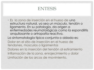 ENTESIS
• Es la zona de inserción en el hueso de una
estructura natural, ya sea un músculo, tendón o
ligamento. En su patología, da origen a
enfermedades reumatológicas como la espondilitis
anquilosante o artropatía reactiva.
La sintomatología típica conjunta o aislada es:
Dolor en el sitio de inserción en el hueso de
tendones, músculos o ligamentos
Dolores en la inserción del tendón al estiramiento
Inflamación de la zona, enrojecimiento y dolor
Limitación de los arcos de movimiento.

 