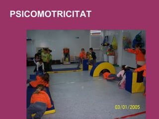 PSICOMOTRICITAT 