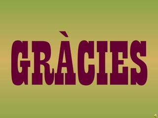 GRÀCIES
 