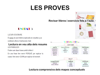 LES PROVES Lectura comprensiva dels mapes conceptuals Revisar llibres i exercicis fets a l’aula Lectura en veu alta dels resums 