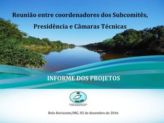 1
Reunião entre coordenadores dos Subcomitês,
Presidência e Câmaras Técnicas
Belo Horizonte/MG, 02 de dezembro de 2016
INFORME DOS PROJETOS
 
