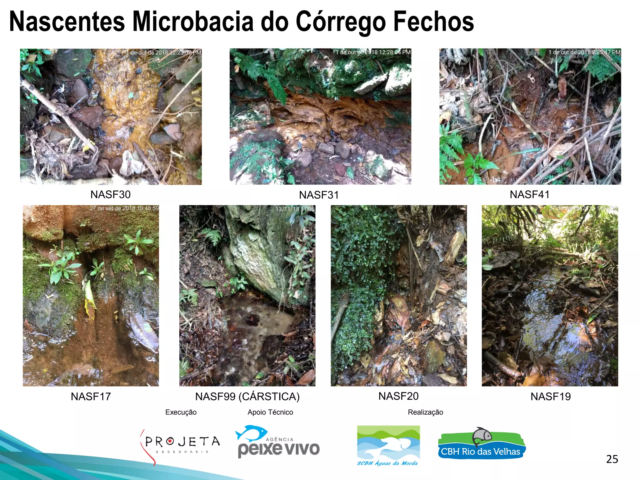 25
Execução Apoio Técnico Realização
Nascentes Microbacia do Córrego Fechos
NASF30
NASF17 NASF99 (CÁRSTICA)
NASF31
NASF20 NASF19
NASF41
 
