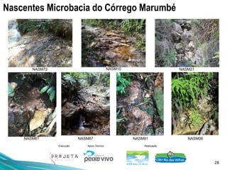 28
Execução Apoio Técnico Realização
Nascentes Microbacia do Córrego Marumbé
NASM72
NASM81 NASM87
NASM10
NASM91 NASM06
NASM21
 