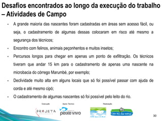30
Execução Apoio Técnico Realização
- A grande maioria das nascentes foram cadastradas em áreas sem acesso fácil, ou
seja, o cadastramento de algumas dessas colocaram em risco até mesmo a
segurança dos técnicos;
- Encontro com felinos, animais peçonhentos e muitos insetos;
- Percursos longos para chegar em apenas um ponto de exfiltração. Os técnicos
tiveram que andar 15 km para o cadastramento de apenas uma nascente na
microbacia do córrego Marumbé, por exemplo;
- Declividade muito alta em alguns locais que só foi possível passar com ajuda de
corda e até mesmo cipó;
- O cadastramento de algumas nascentes só foi possível pelo leito do rio.
Desafios encontrados ao longo da execução do trabalho
– Atividades de Campo
 