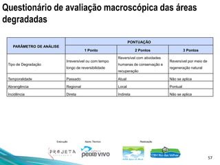 57
Execução Apoio Técnico Realização
Questionário de avaliação macroscópica das áreas
degradadas
PARÂMETRO DE ANÁLISE
PONTUAÇÃO
1 Ponto 2 Pontos 3 Pontos
Tipo de Degradação
Irreversível ou com tempo
longo de reversibilidade
Reversível com atividades
humanas de conservação e
recuperação
Reversível por meio de
regeneração natural
Temporalidade Passado Atual Não se aplica
Abrangência Regional Local Pontual
Incidência Direta Indireta Não se aplica
 