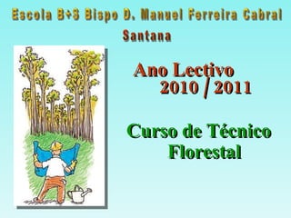 [object Object],Curso de Técnico Florestal 