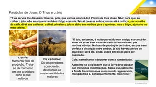11 GECD - Reunião pública 28/07/2019
Parábolas de Jesus: O Trigo e o Joio
“E os servos lhe disseram: Queres, pois, que vamos arrancá-lo? Porém ele lhes disse: Não; para que, ao
colher o joio, não arranqueis também o trigo com ele. Deixai crescer ambos juntos até à ceifa; e, por ocasião
da ceifa, direi aos ceifeiros: colhei primeiro o joio e atai-o em molhos para o queimar; mas o trigo, ajuntai-o no
meu celeiro.”
A ceifa:
Momento final da
produção. Trata-
se do momento
em que a criatura
colhe o que
cultivou
Os ceifeiros:
Os cooperadores
conscientes,
detentores de
responsabilidades
maiores
“O joio, ao brotar, é muito parecido com o trigo e arrancá-lo
antes de estar bem crescido seria inconveniente, por
motivos óbvios. Na hora de produção de frutos, em que será
perfeita a distinção entre ambos, já não haverá perigo de
equívoco: será ele, então, atado em feixes para ser
queimado.
Coisa semelhante irá ocorrer com a humanidade.
Aproxima-se a época em que a Terra deve passar
por profundas modificações, física e socialmente,
a fim de transformar-se num mundo regenerador,
mais pacífico e, consequentemente, mais feliz.”
 