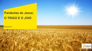 28/07/2019
Parábolas de Jesus:
O TRIGO E O JOIO
 