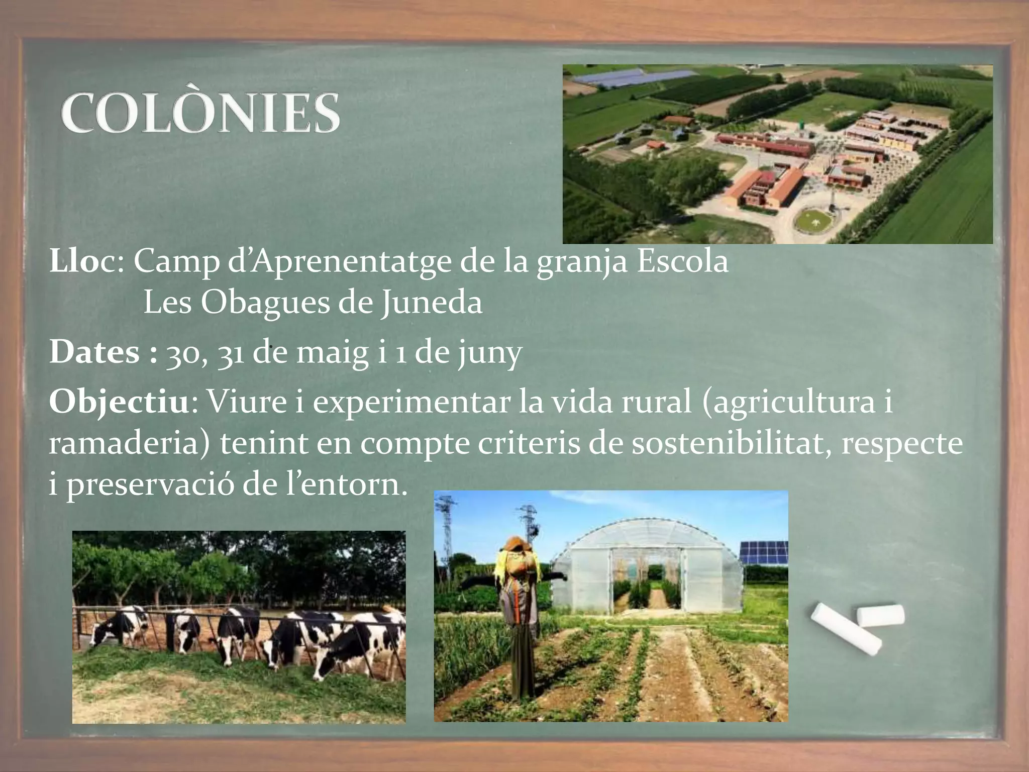 Lloc: Camp d’Aprenentatge de la granja Escola
Les Obagues de Juneda
Dates : 30, 31 de maig i 1 de juny
Objectiu: Viure i experimentar la vida rural (agricultura i
ramaderia) tenint en compte criteris de sostenibilitat, respecte
i preservació de l’entorn.
.
 