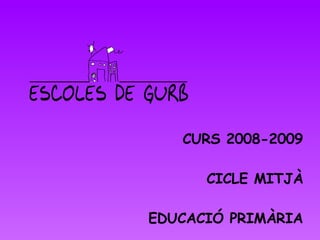 CURS 2008-2009 CICLE MITJÀ EDUCACIÓ PRIMÀRIA 